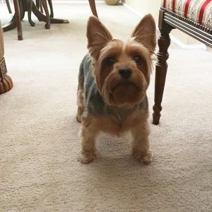 Meet your Posher, Aida